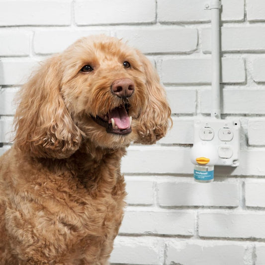 PurePaw™ | Calm Diffusor