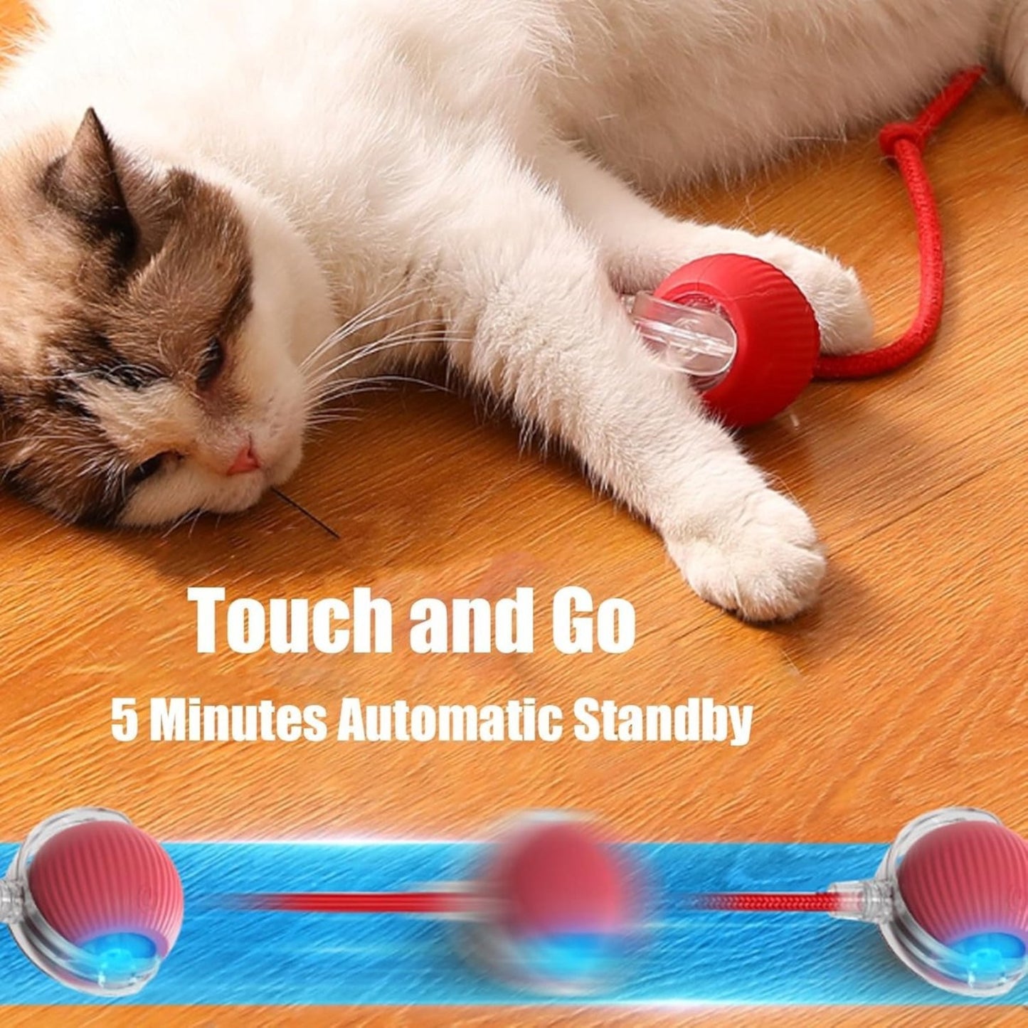 ZoomieBall™ – Den smarte legebold til katte & hunde