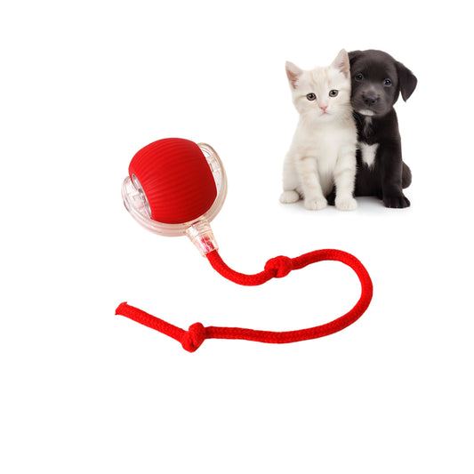 ZoomieBall™ – Den smarte legebold til katte & hunde
