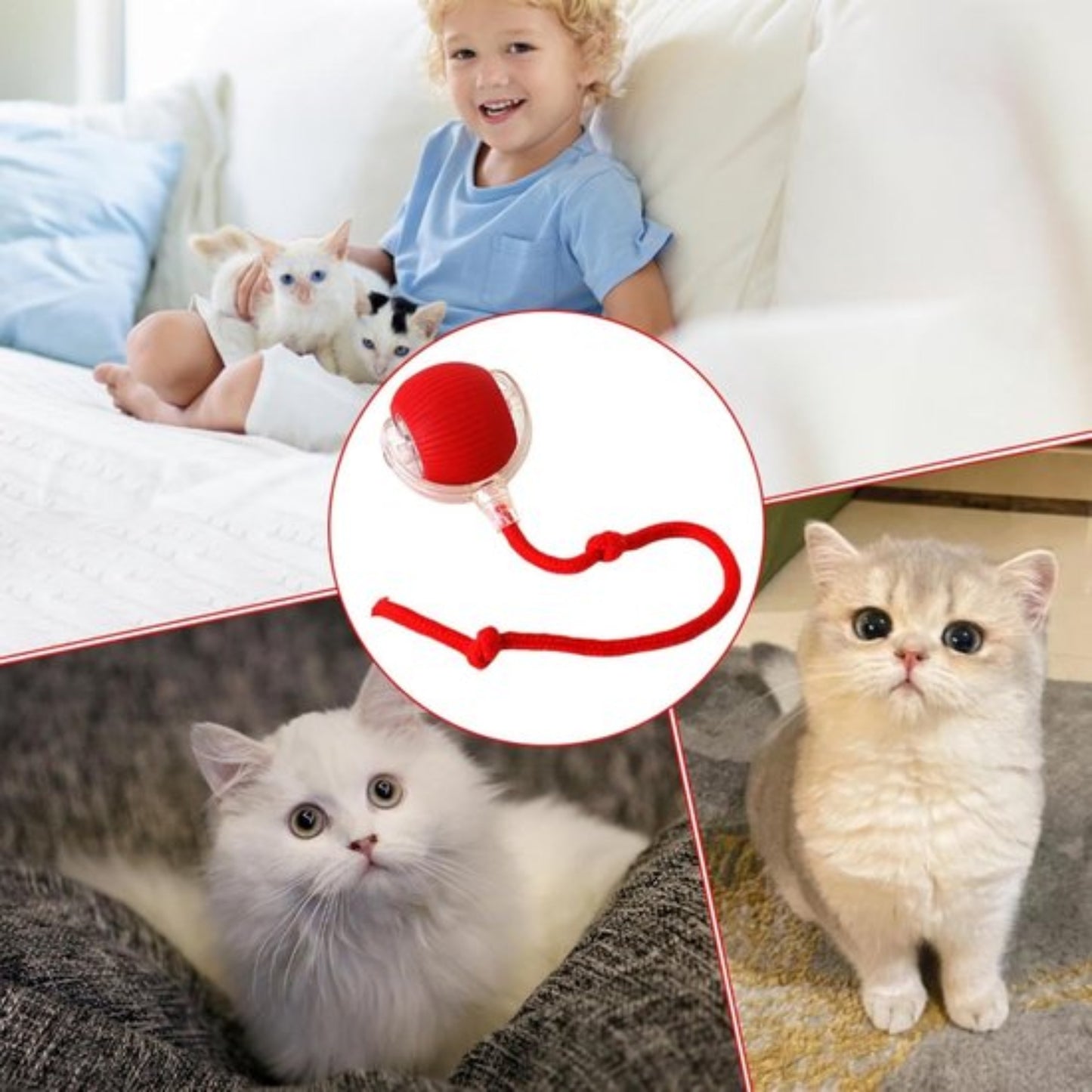 ZoomieBall™ – Den smarte legebold til katte & hunde