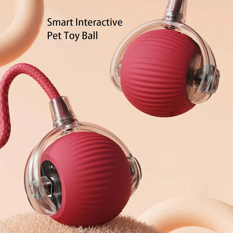 ZoomieBall™ – Den smarte legebold til katte & hunde