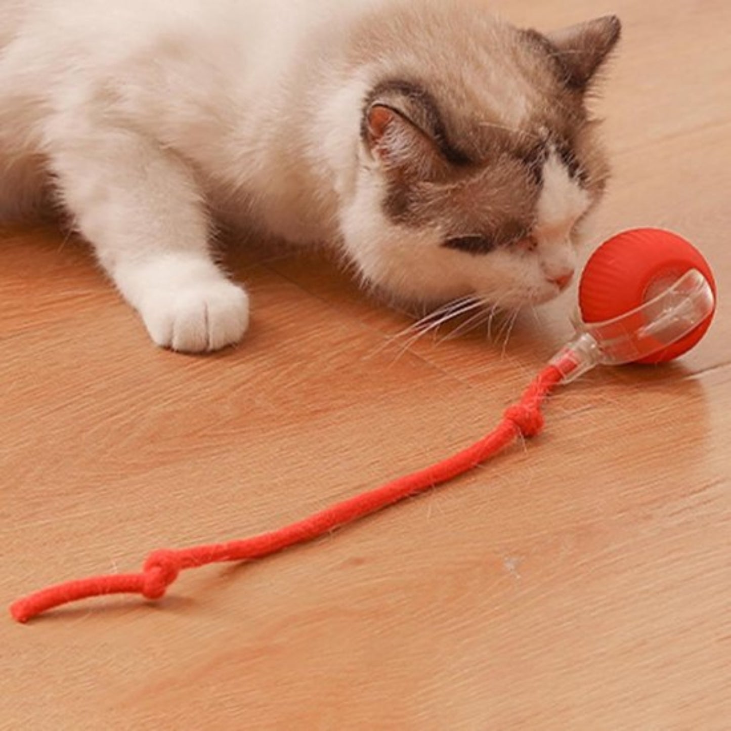ZoomieBall™ – Den smarte legebold til katte & hunde