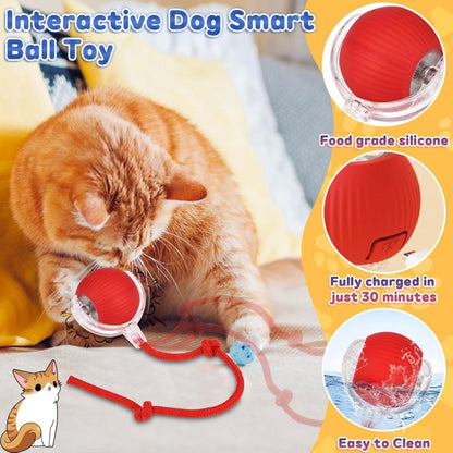 ZoomieBall™ – Den smarte lege­bold til katte & hunde