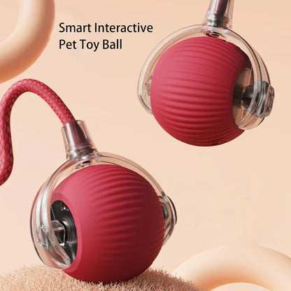 ZoomieBall™ – Den smarte lege­bold til katte & hunde
